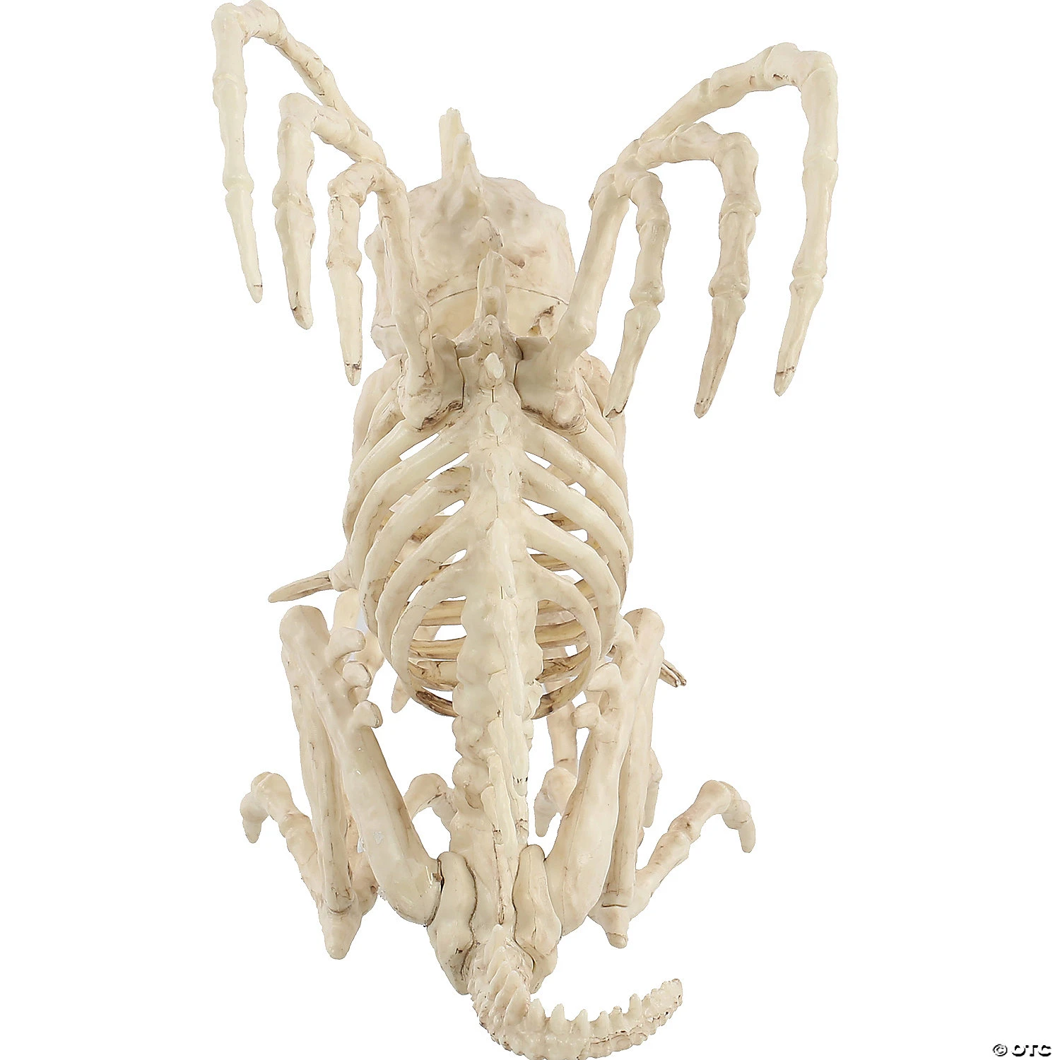 10" Skeleton Gargoyle Decoration 2 10" Skeleton Gargoyle Decoration - Image 2