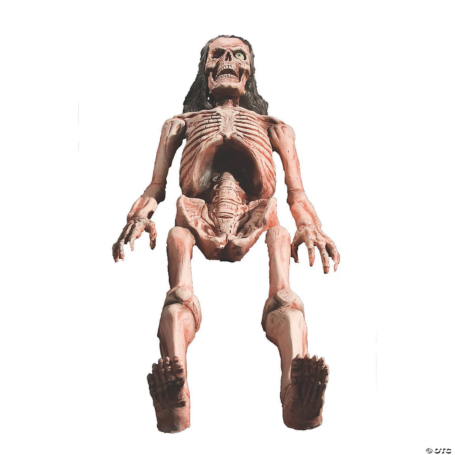 16"–24" Animated Bones Halloween Decoration 1 16"–24" Animated Bones Halloween Decoration