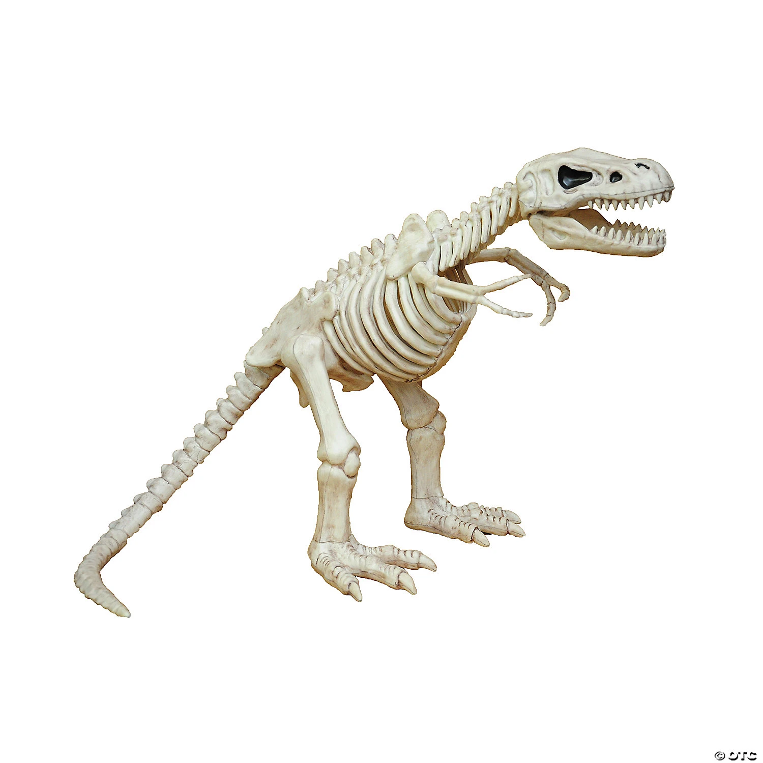 16" T-Rex Skeleton Decoration 1 16" T-Rex Skeleton Decoration