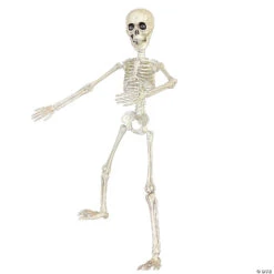 19" Poseable Skeleton Decoration -Spooky Fun Sales Store 19 poseable skeleton decorationss89504 a02