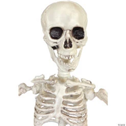 19" Poseable Skeleton Decoration -Spooky Fun Sales Store 19 poseable skeleton decorationss89504 a03