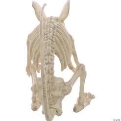 21.5" Rat Attack Skeleton Decoration -Spooky Fun Sales Store 21 5 rat attack skeleton decorationsew81258 a01