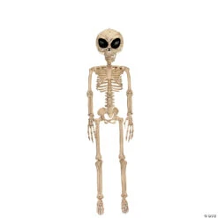 37" Alien Skeleton Decoration