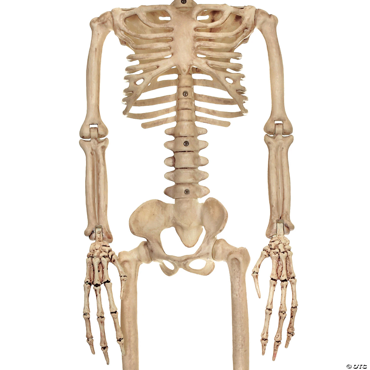 37" Alien Skeleton Decoration 2 37" Alien Skeleton Decoration - Image 2