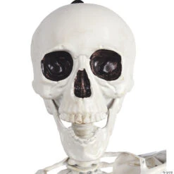 5 Ft. Skeleton Pose & Hold Halloween Decoration 7 5 Ft. Skeleton Pose & Hold Halloween Decoration -Spooky Fun Sales Store 5 ft skeleton pose and hold halloween decorationss39287 a02