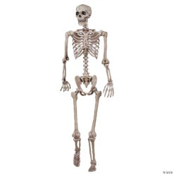 62" Poseable Skeleton Decoration