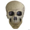 9.5" Foam Skull Decoration