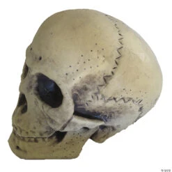 9.5" Foam Skull Decoration 4 9.5" Foam Skull Decoration -Spooky Fun Sales Store 9 5 foam skull decorationpe42092 a01