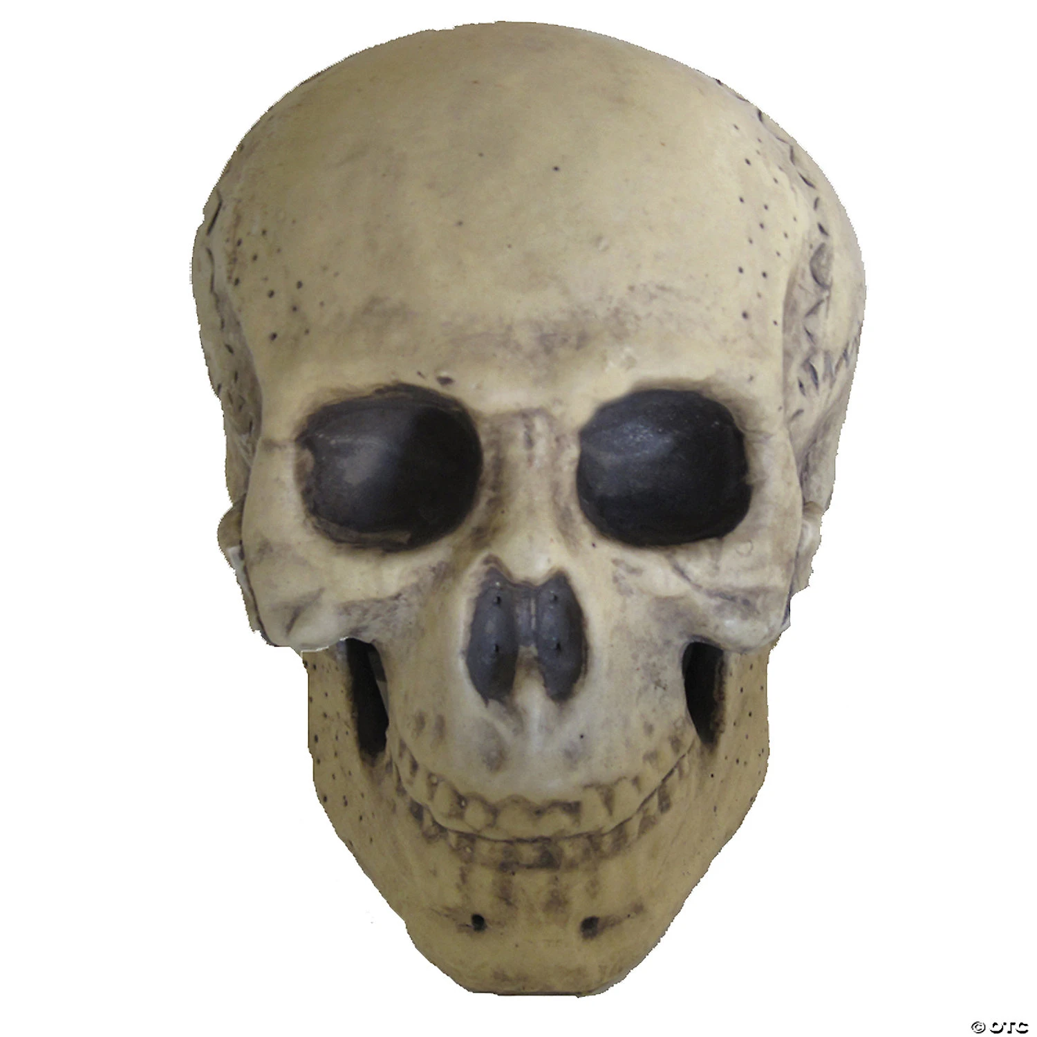 9.5" Foam Skull Decoration 1 9.5" Foam Skull Decoration