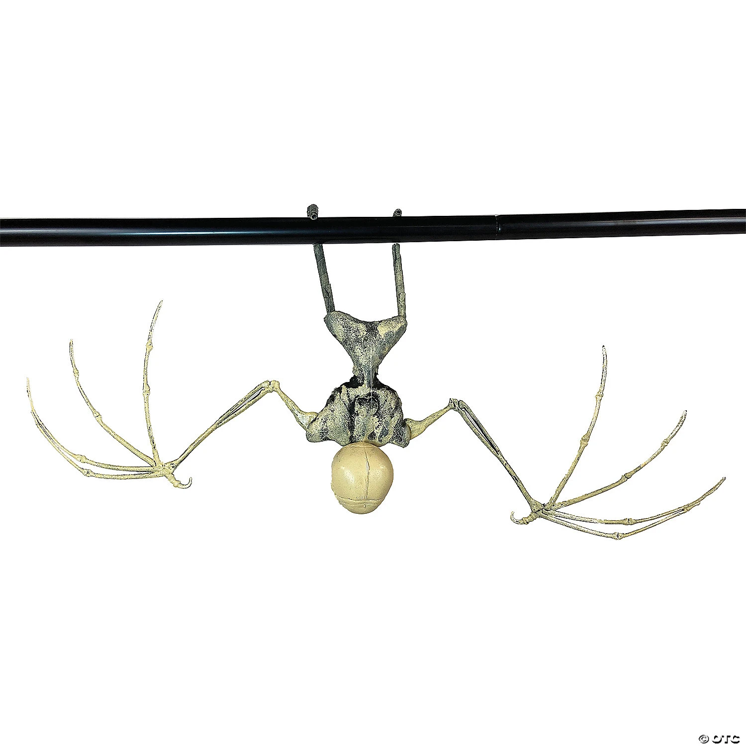 Bat Skeleton 2 Bat Skeleton - Image 2