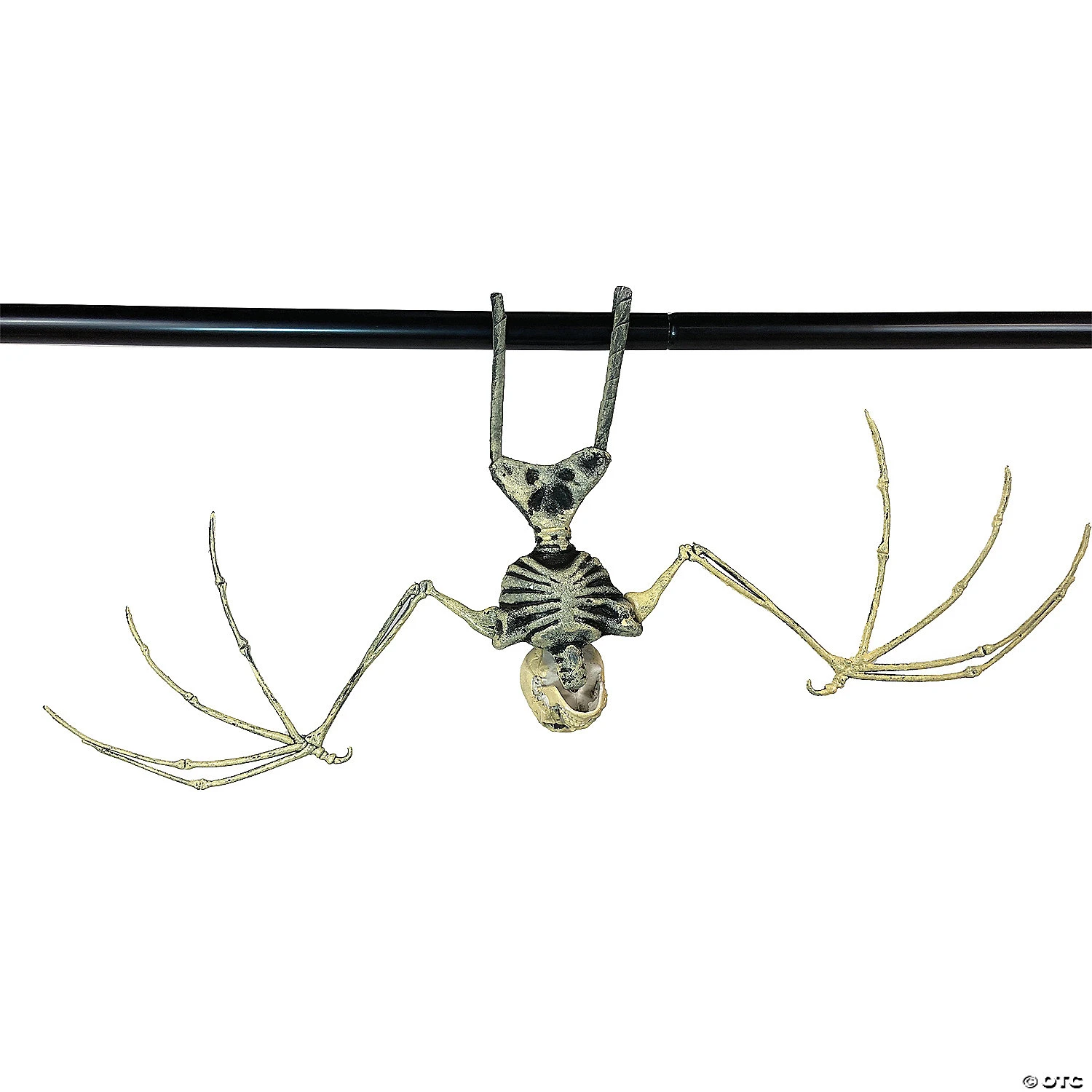 Bat Skeleton 4 Bat Skeleton - Image 4