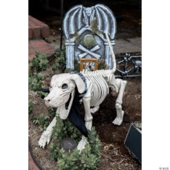 Beagle Bonez Dog Skeleton Halloween Decoration -Spooky Fun Sales Store beagle bonez dog skeleton halloween decorationse18131 a02