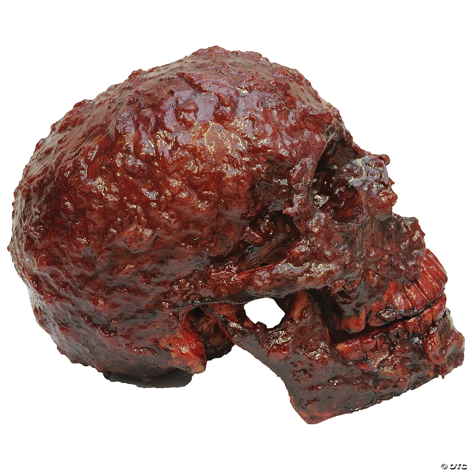 Bloody Scabs Skull Prop 2 Bloody Scabs Skull Prop - Image 2