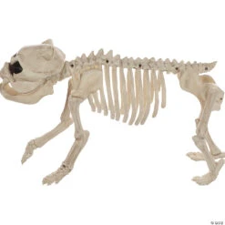 Bones The Dog Skeleton Halloween Decoration -Spooky Fun Sales Store bones the dog skeleton halloween decorationsez18986 a02