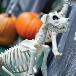 Buster Bonez Dog Skeleton Halloween Decoration -Spooky Fun Sales Store buster bonez dog skeleton halloween decorationse18134 a01