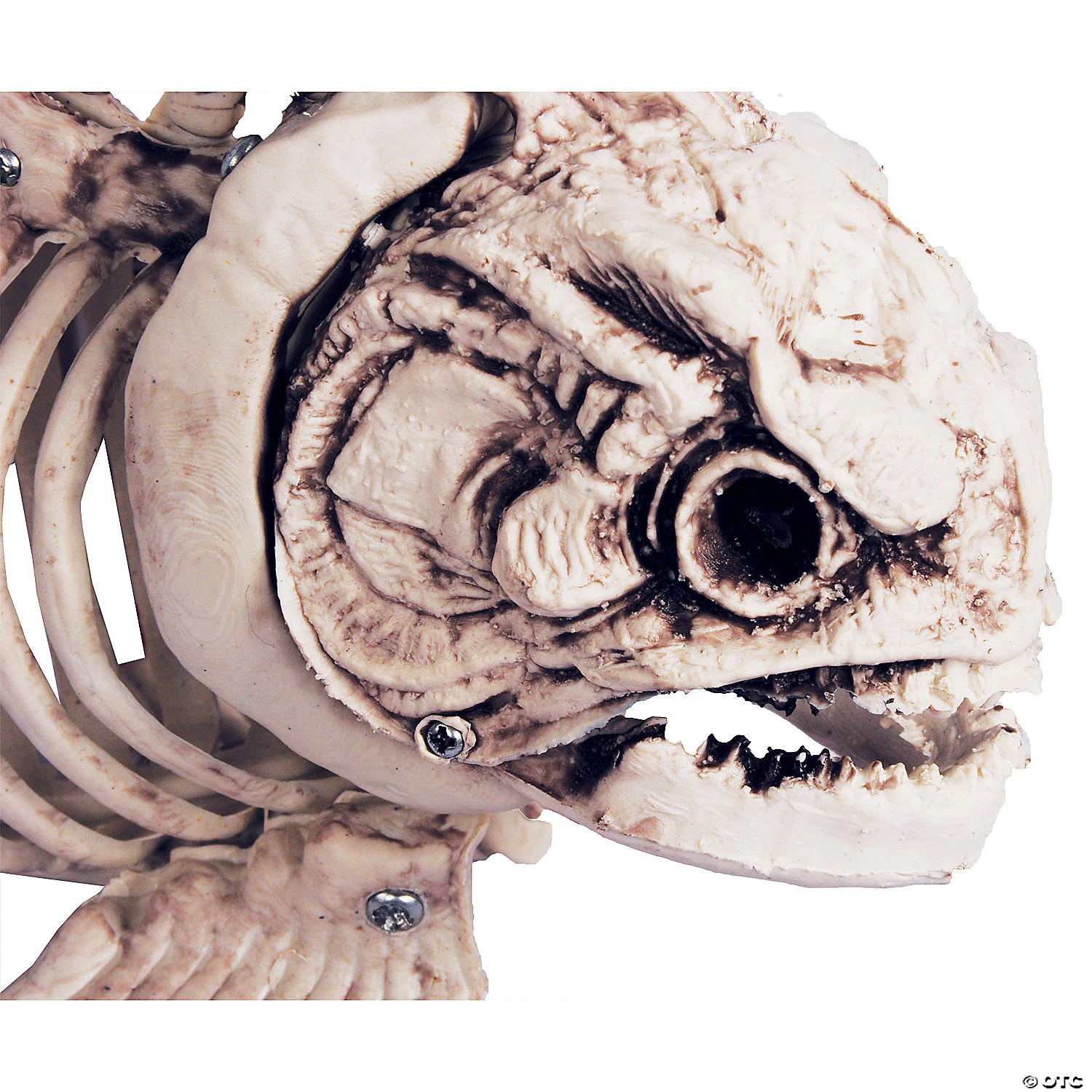 Fish Skeleton Decoration 3 Fish Skeleton Decoration - Image 3