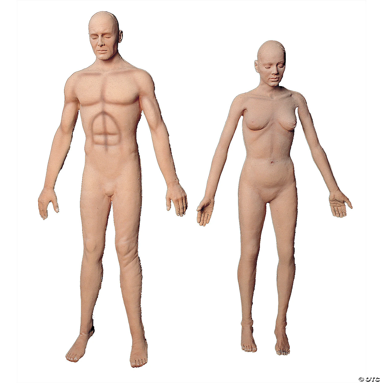 Flex Body Male 1 Flex Body Male