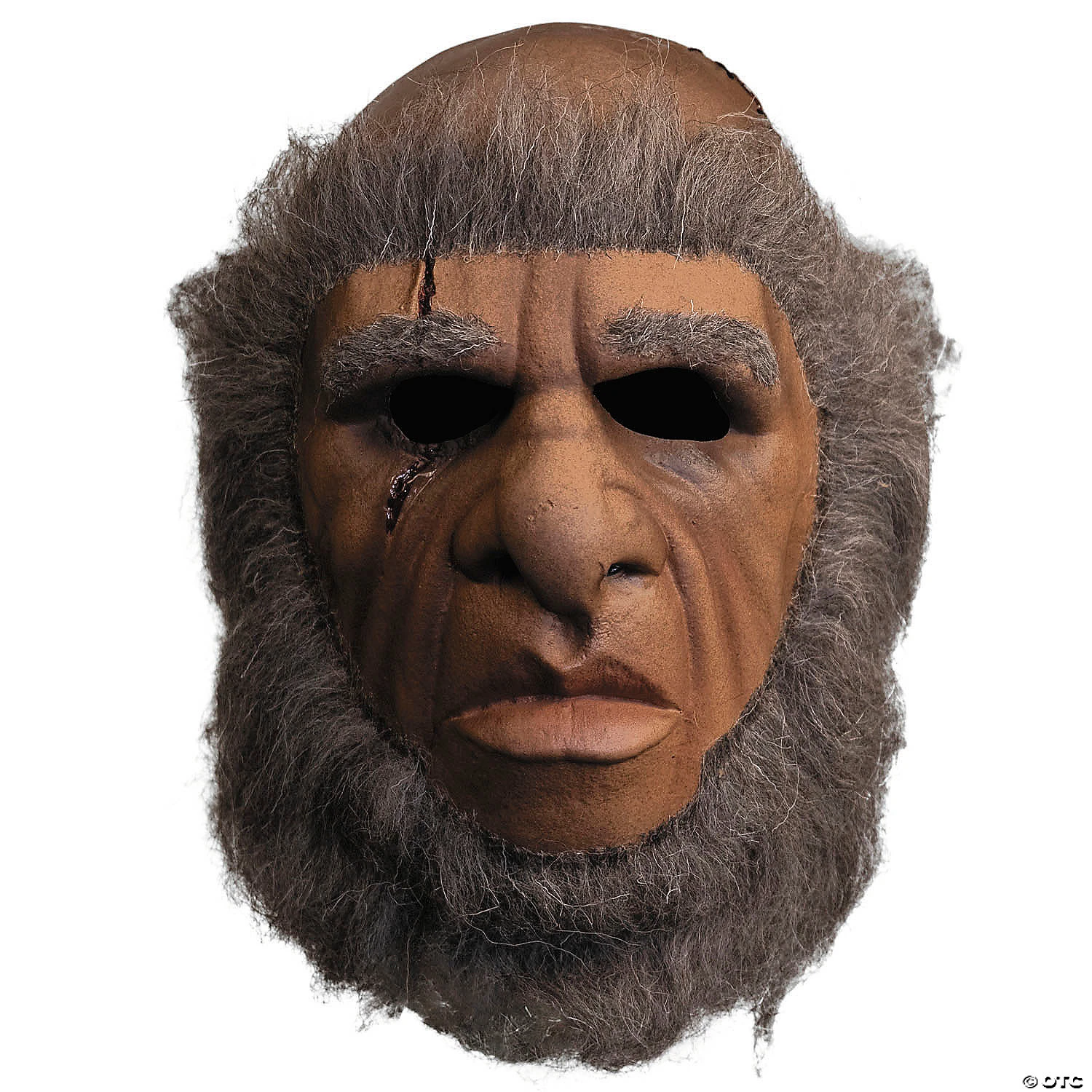 Frankenstein And The Monster From Hell Halloween Mask 1 Frankenstein And The Monster From Hell Halloween Mask