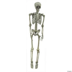 Life Size Hanging Skeleton Halloween Decoration