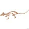 Mini Skeleton Rat Prop