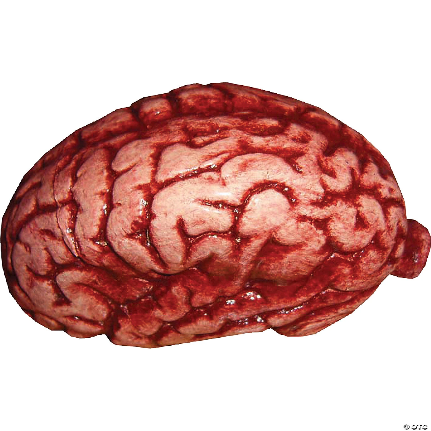 Realistic Brain Prop Halloween Decoration 1 Realistic Brain Prop Halloween Decoration