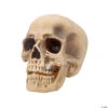 Realistic Rotting Skull Halloween Decoration