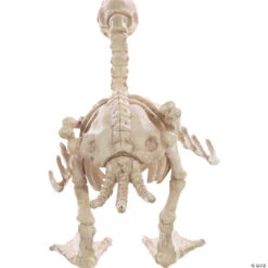 Skeleton Baby Duck Prop -Spooky Fun Sales Store skeleton baby duck propsew81857 a01
