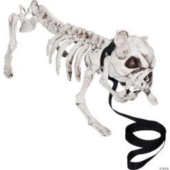 Skeleton Dog