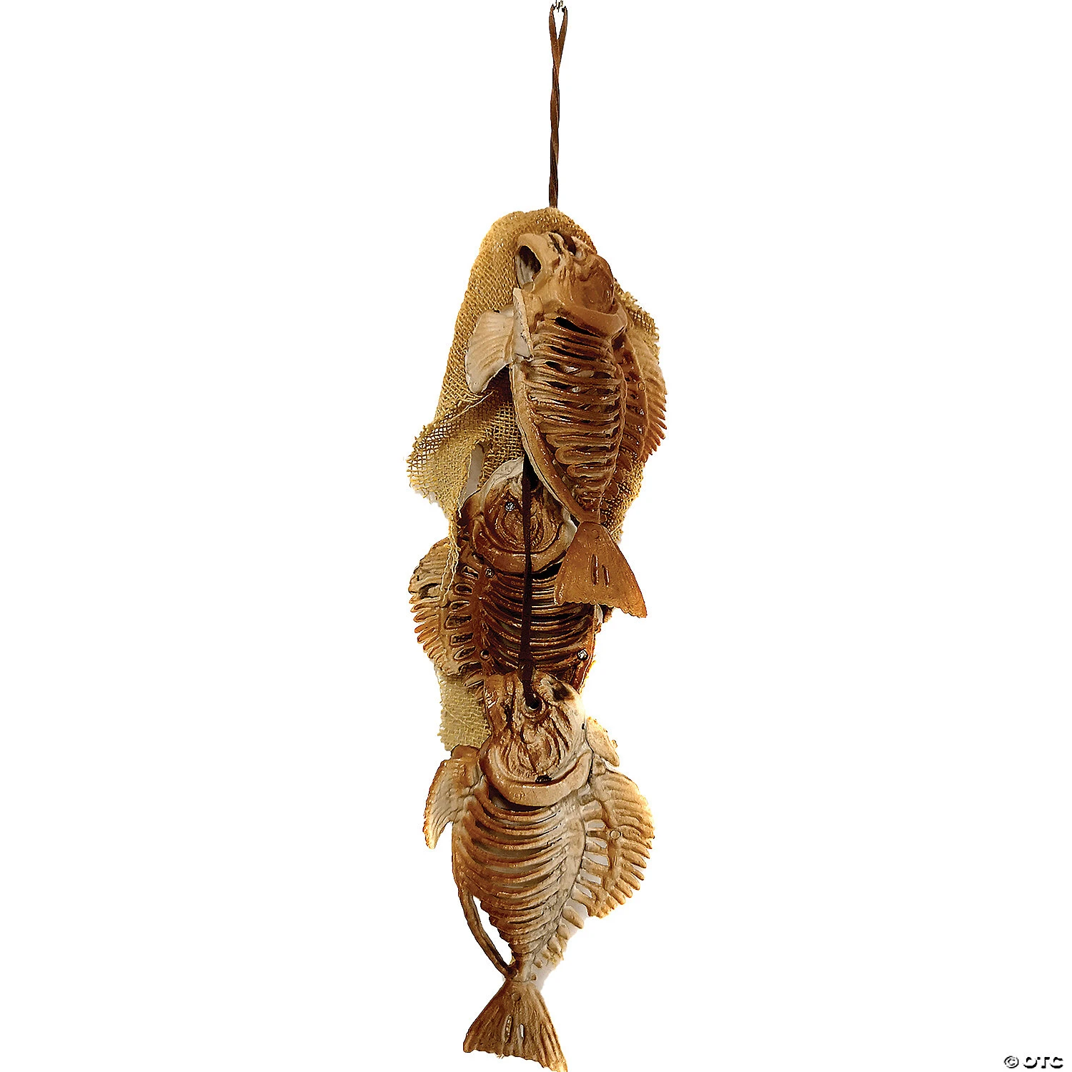 Skeleton Fish String 1 Skeleton Fish String