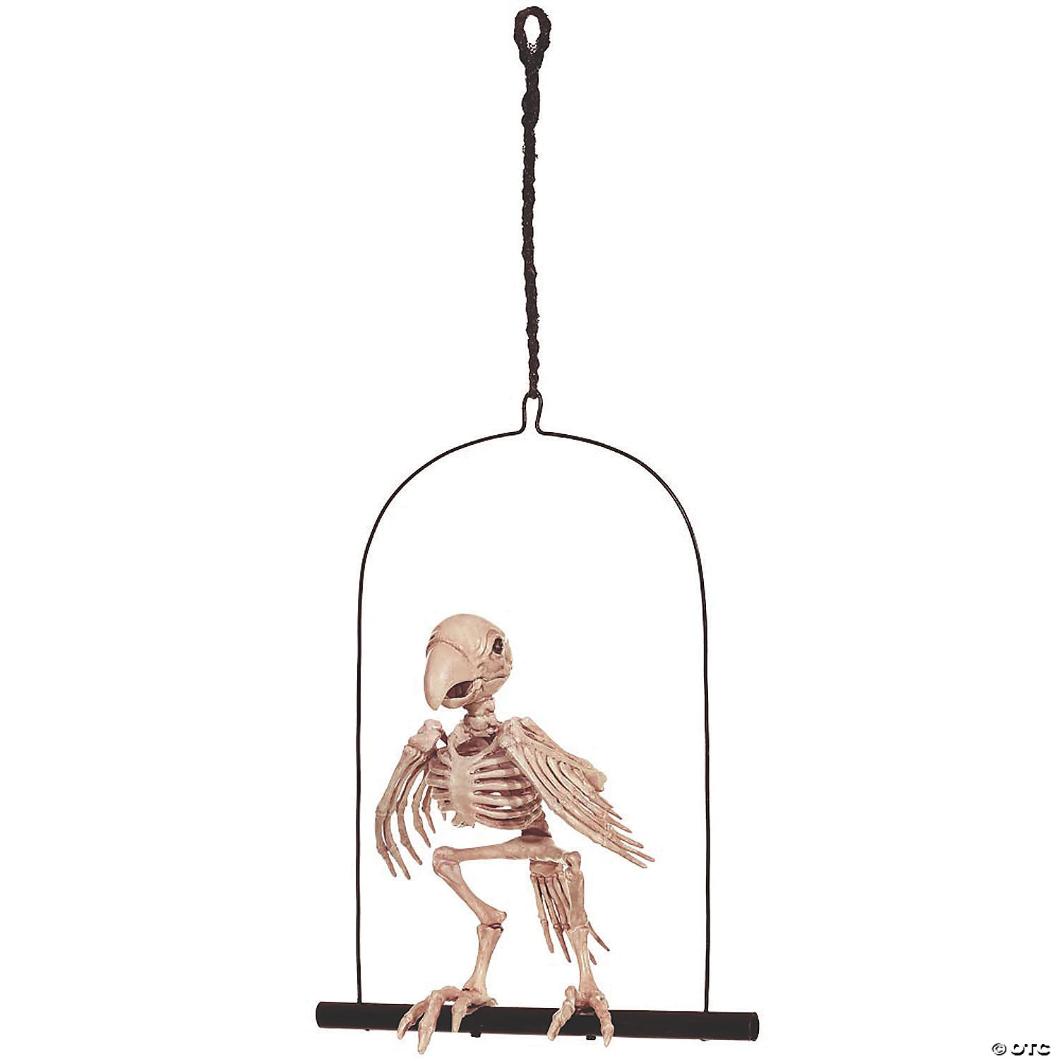 Skeleton Parrot On A Perch Halloween Decoration 1 Skeleton Parrot On A Perch Halloween Decoration