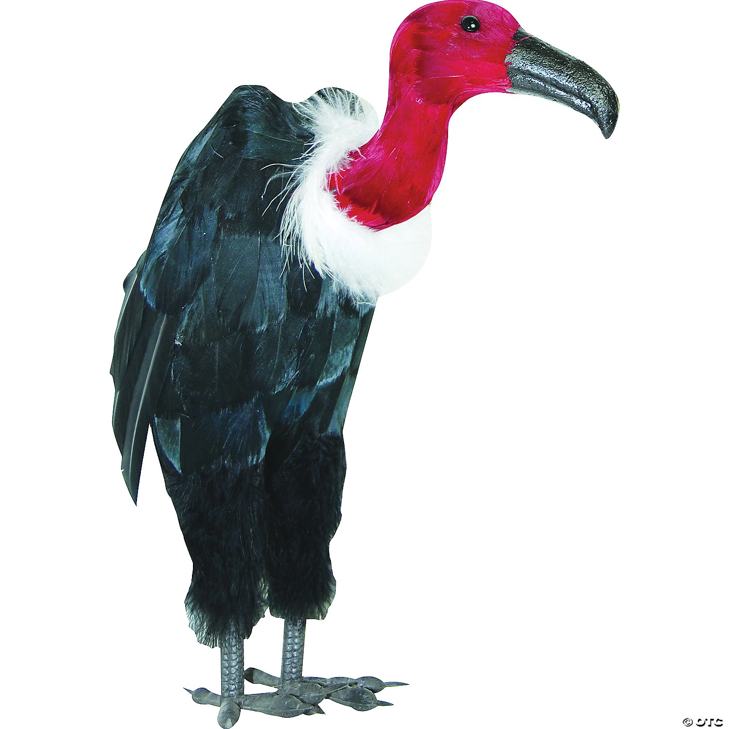 Vulture W Black Feathers 1 Vulture W Black Feathers